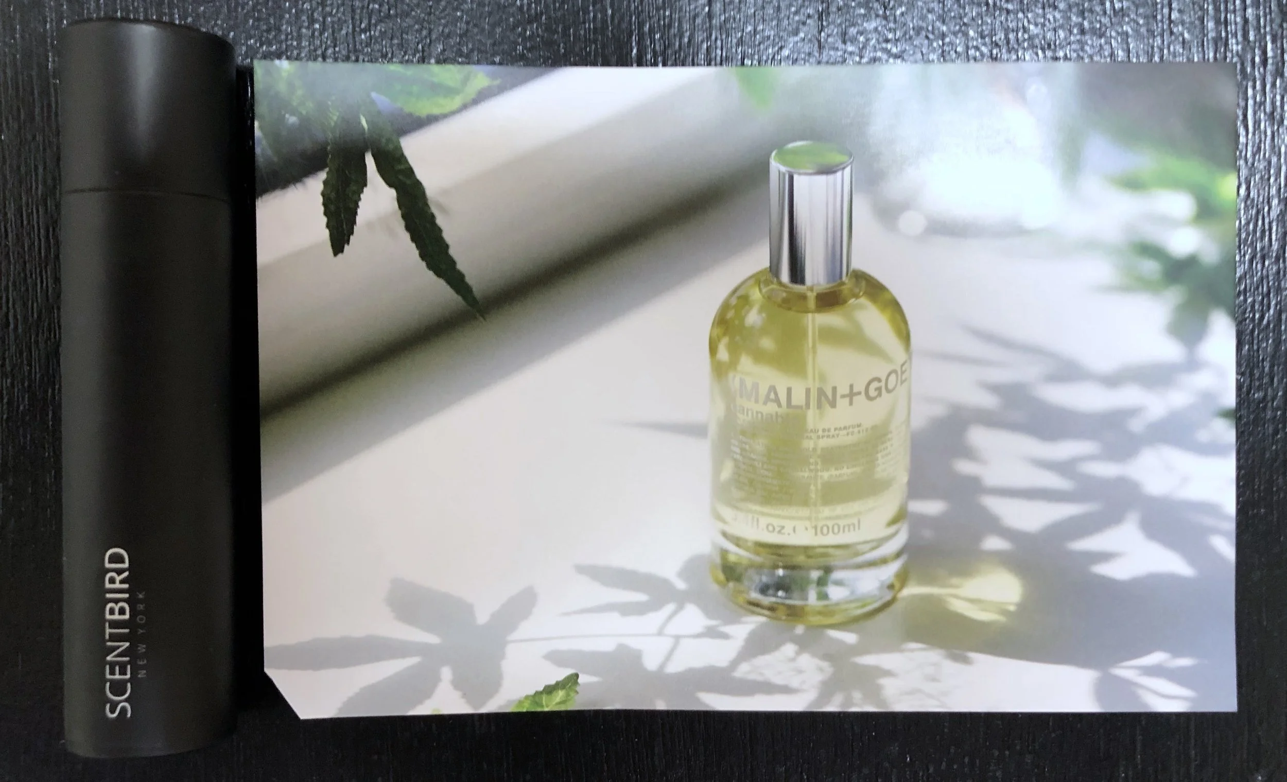 Each cologne comes with a little card explaining more about it
