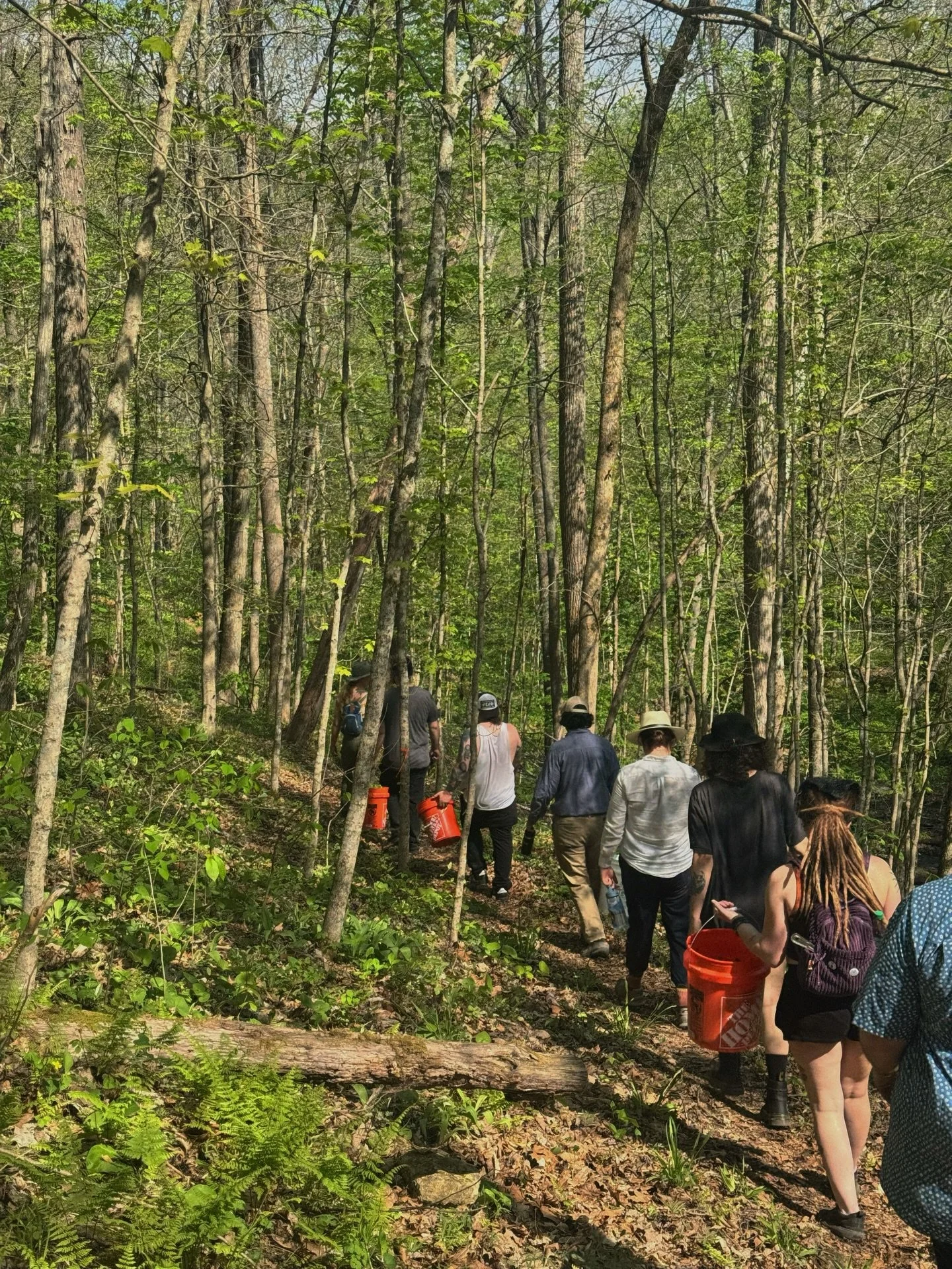 The team spent a day this week at @foxhollowfarmky in Crestwood, KY, to get a firsthand look at Kentucky agriculture. We were there to forage ramps - wild leeks that only show up for a short period of time each spring. They have a flavor that lands s