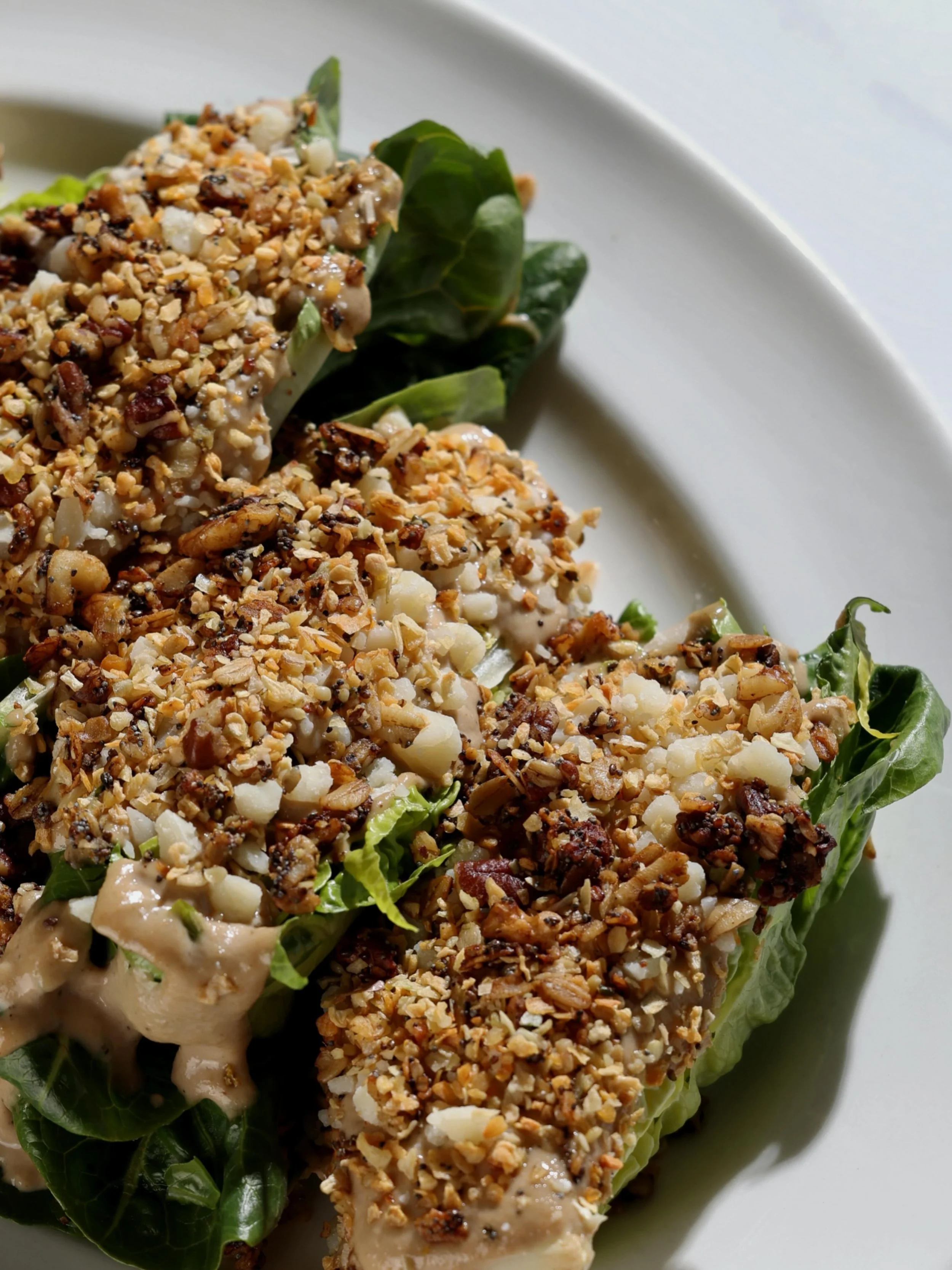 Our Caesar is a destination dish for many of our regulars. We make ours with little gem lettuce and a dressing made from dried apples and anchovies. Instead of standard croutons, we use an granola for a savory crunch.

You can enjoy it with a mountai