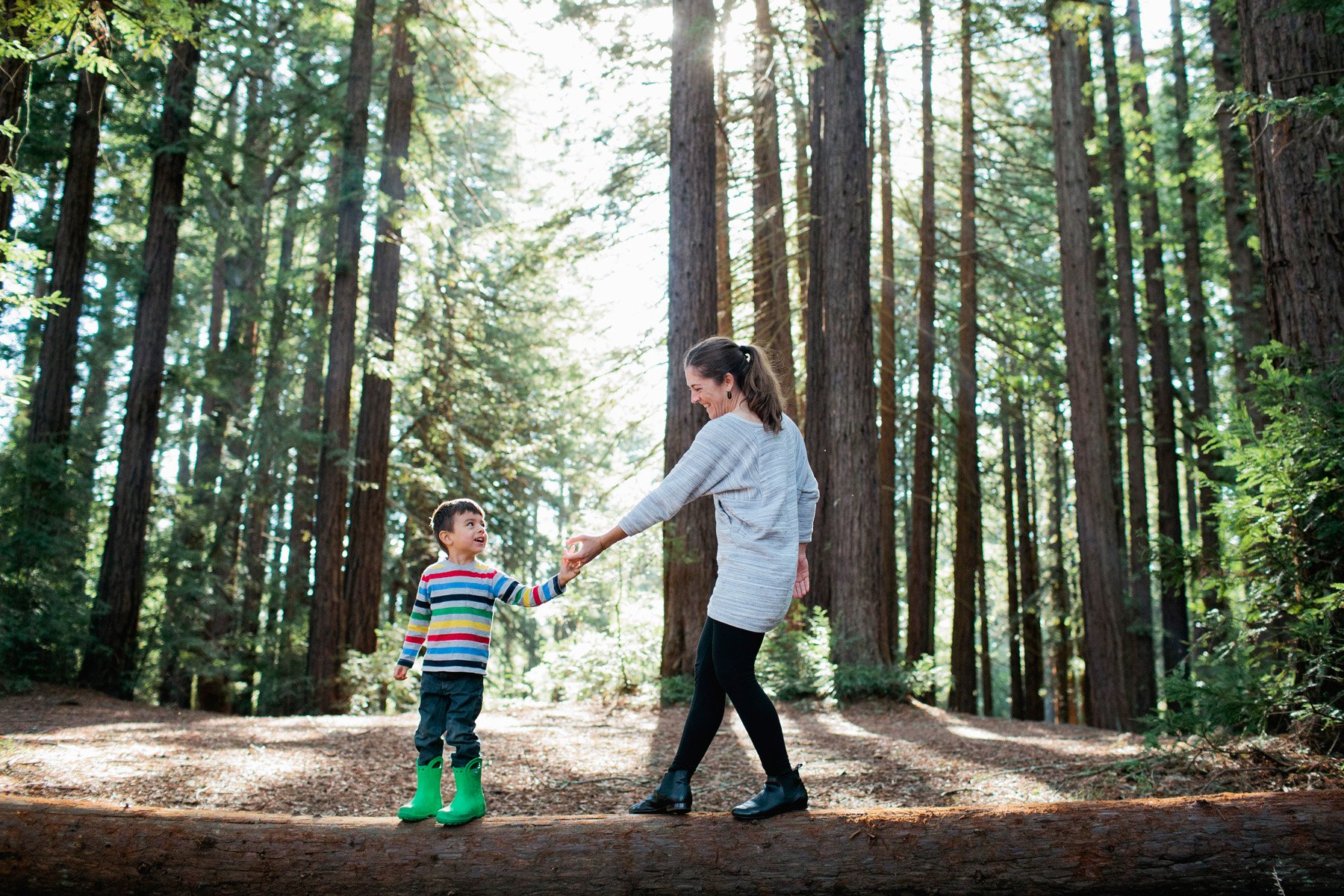 Oakland Mini Sessions: Redwoods  