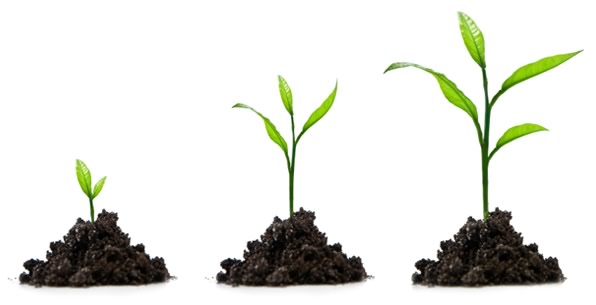 Growth.jpg