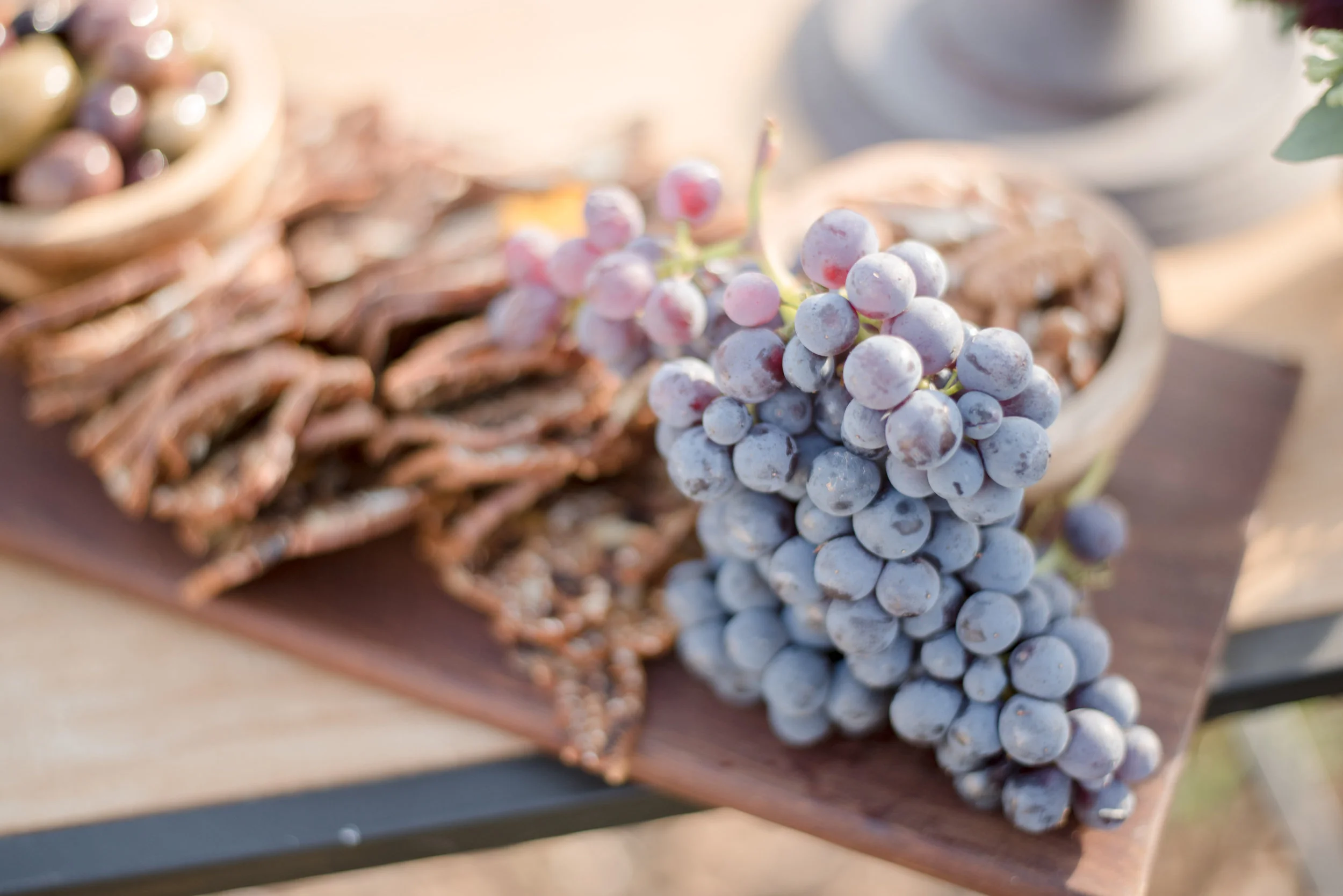 QuiannaMariePhotography-GuglielmoWinery-StyledPopUpSeries-October2016-263.jpg