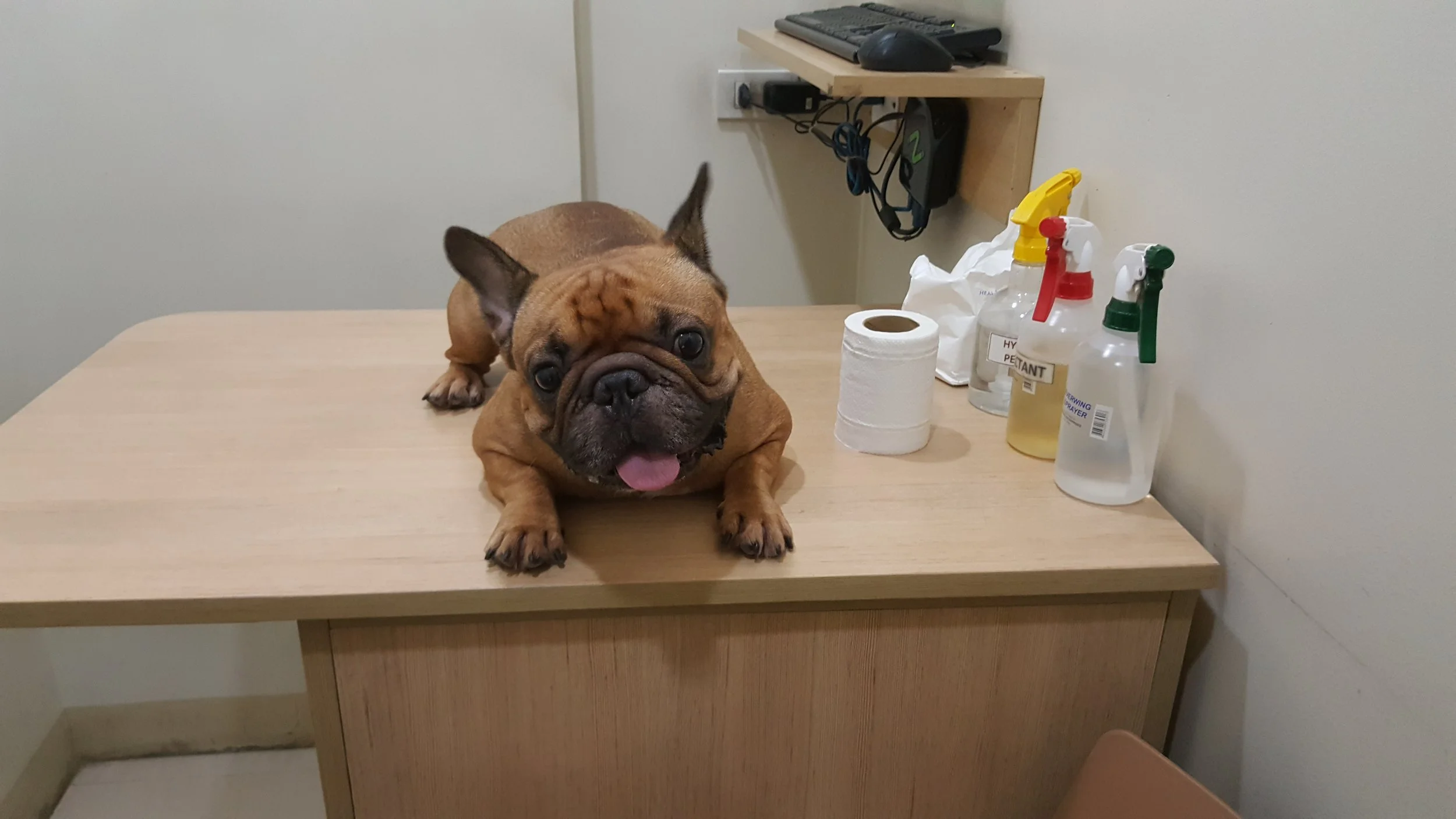 Happy patient until he got the shots :(