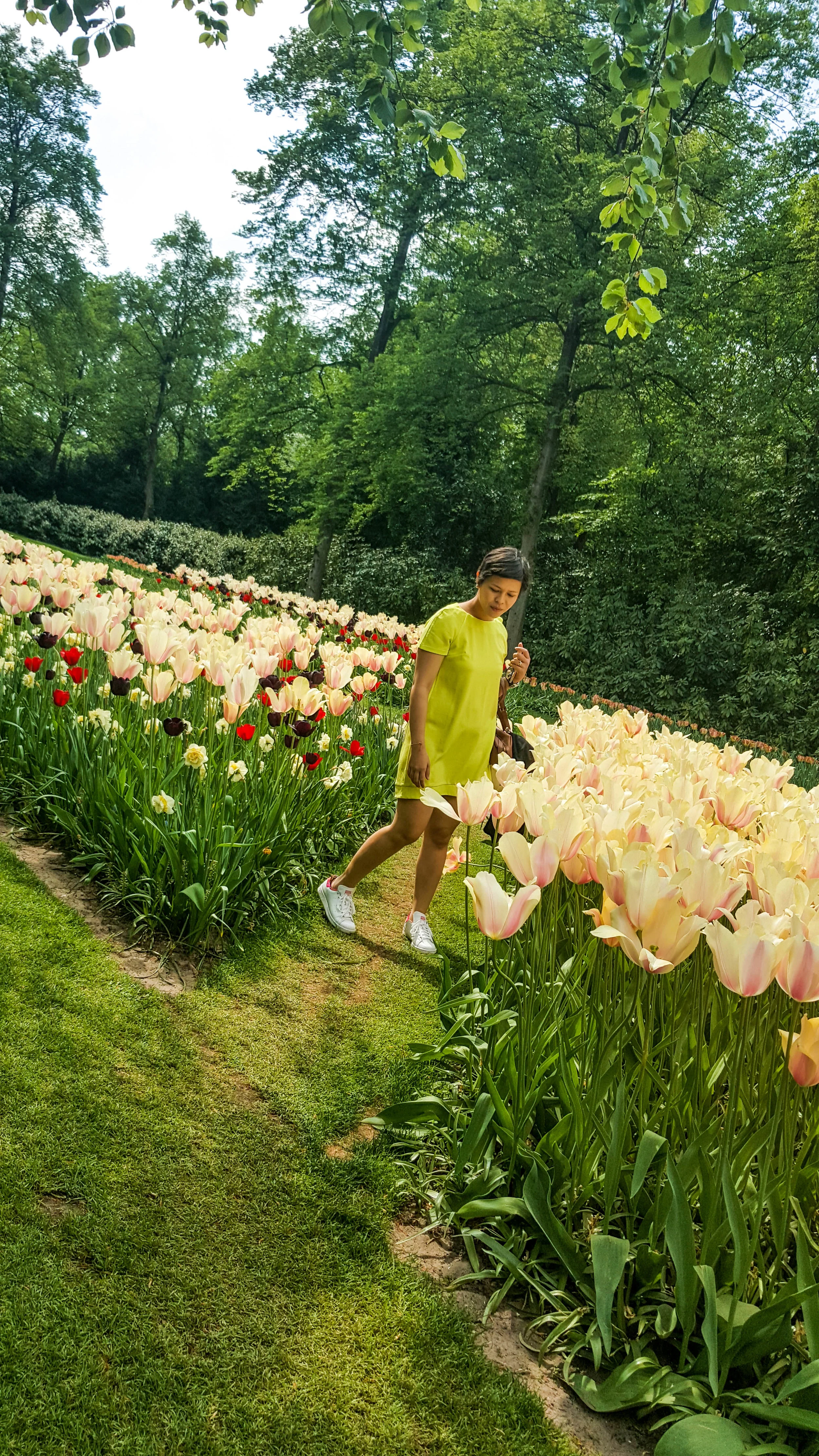 20160512_145845.jpg