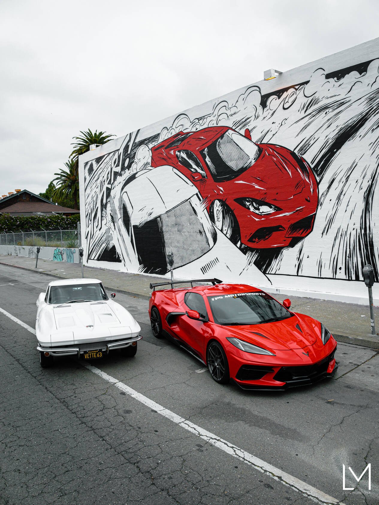 C2 and C8 Corvette in front of the Manga Mural 2.JPG