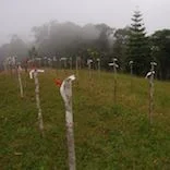 BATTLE OF BRIGADE HILL- 08 September 1942.png