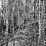 WITHDRAWAL TO IMITA RIDGE- 16 September 1942.png