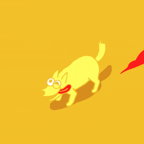 Chinese New Year 2018