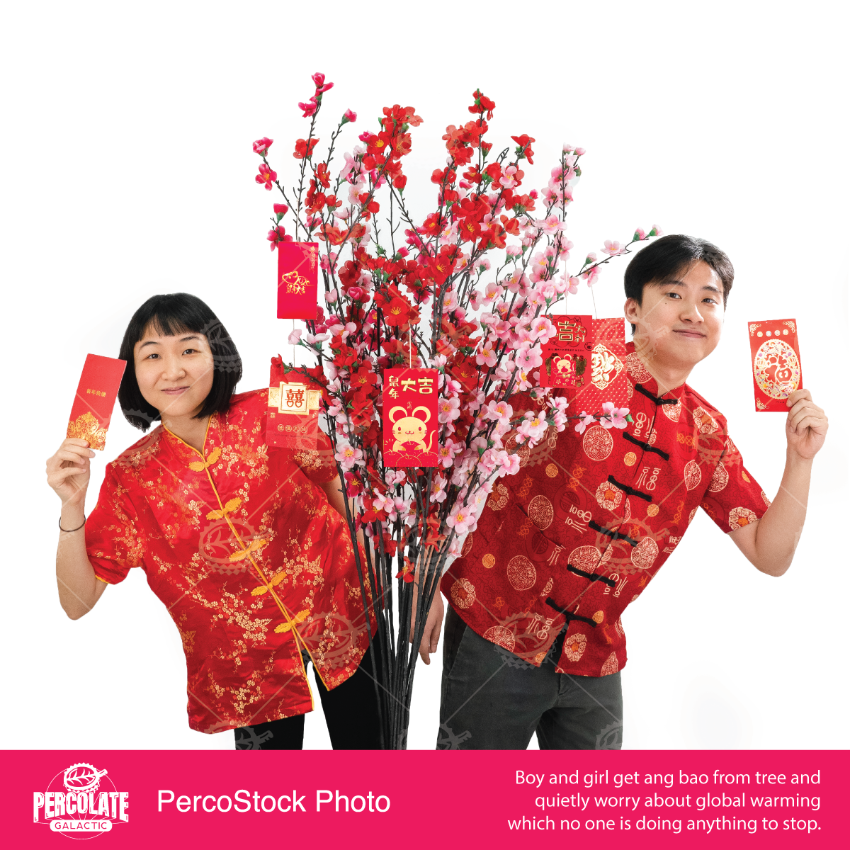 percolate_IG_stok_CNY2.png