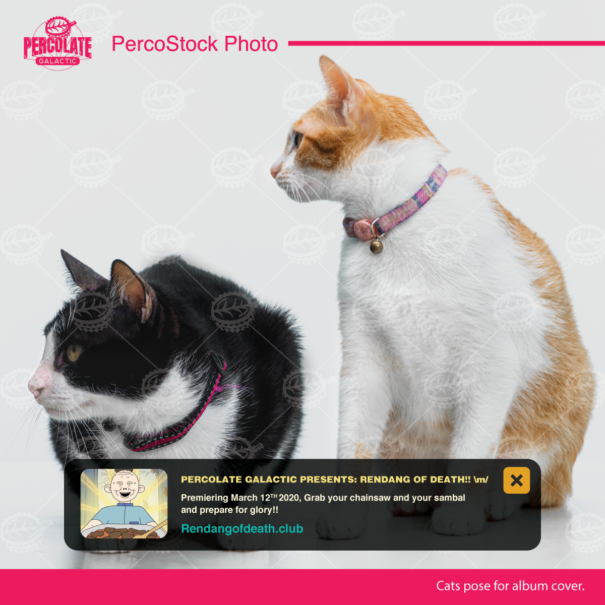 percolate_IG_stokfoto_cat4.png