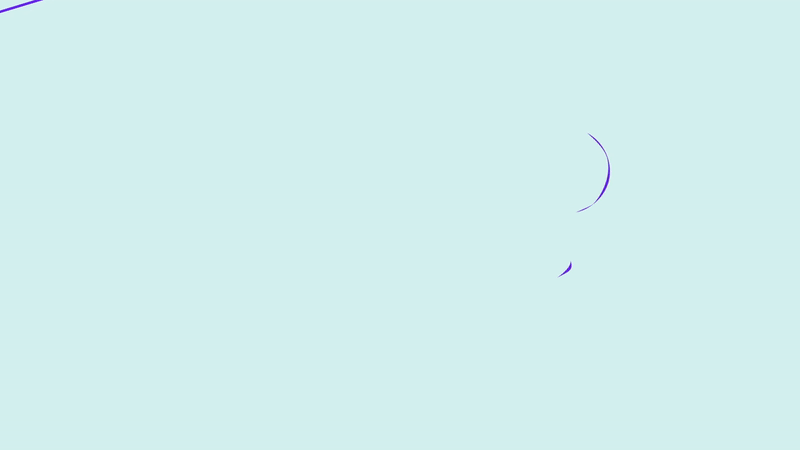 Springster X Nutrition International