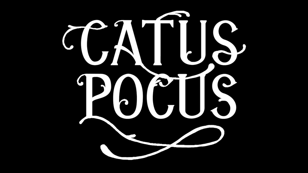 Catus Pocus