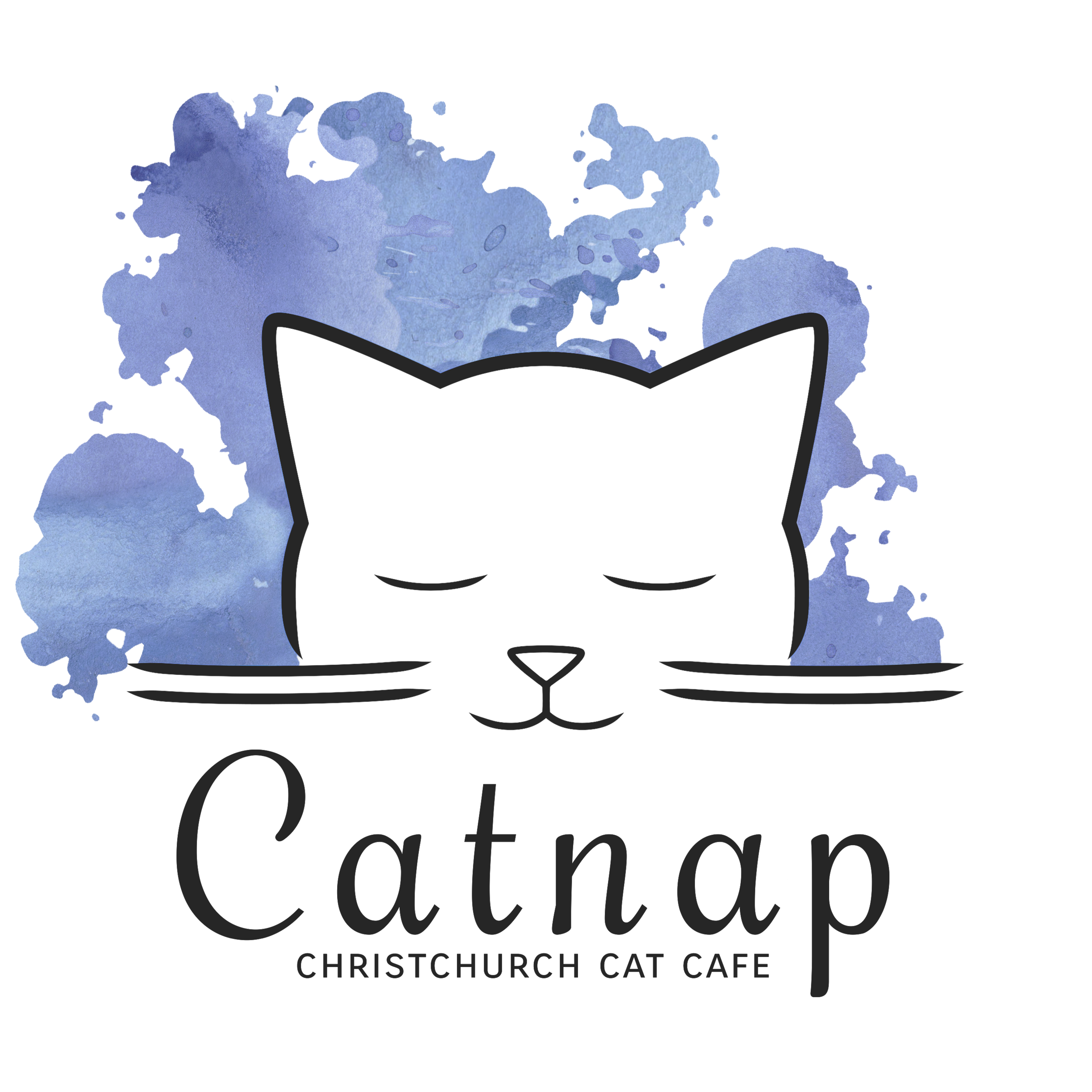CatnapLogo_Colour_TransparentBG.png