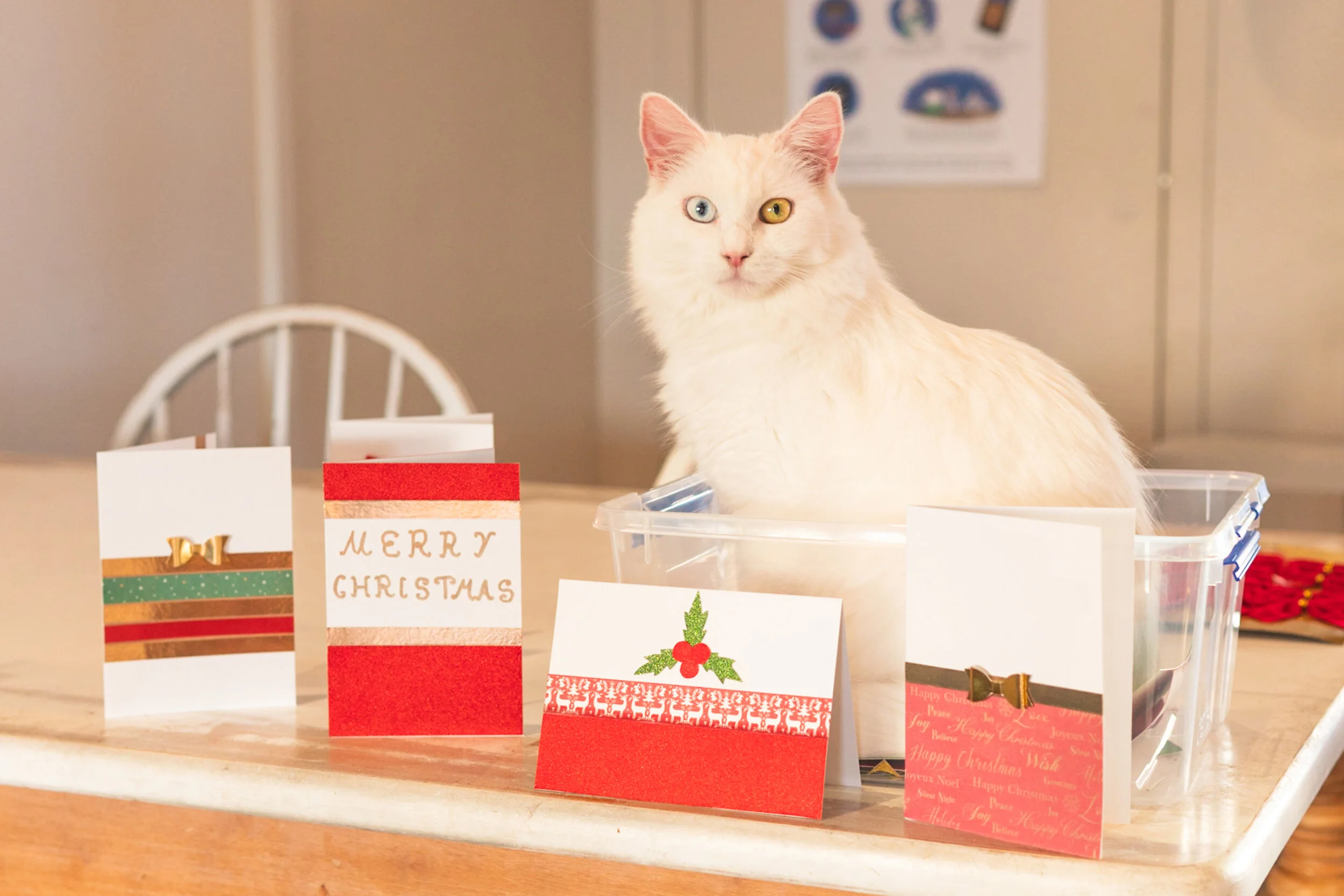 Christmas Card Making