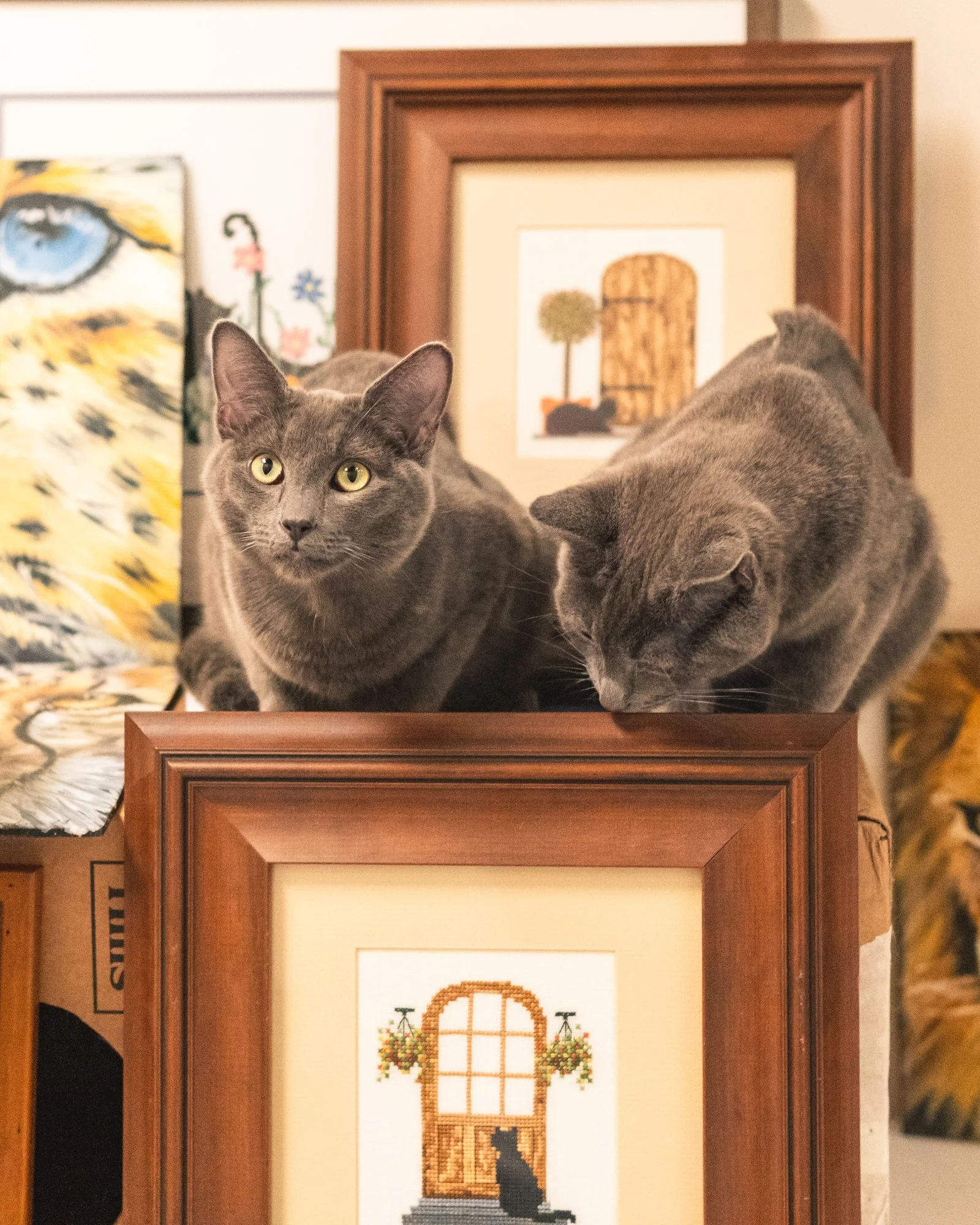 Art Exhibition Fundraiser - Opening Night!