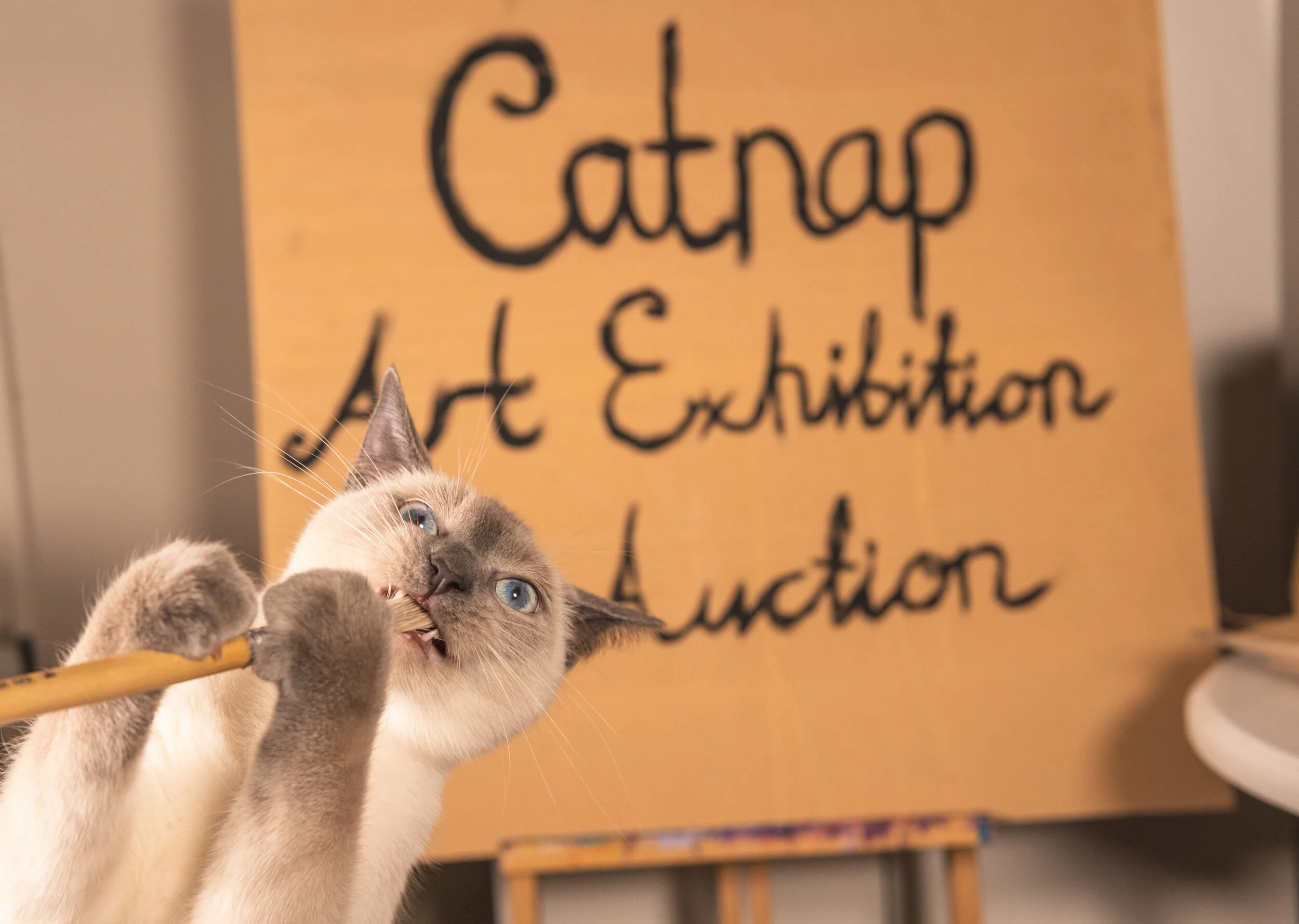 Art Exhibition Fundraising Weekend!