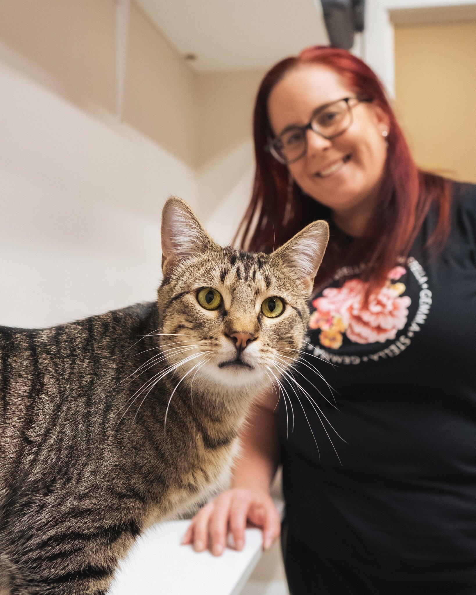 Richie has been adopted! 🐈🏡

Richie went to his new home a couple of weeks ago and he is settling in well. We were stoked to have found Richie the perfect home as he was feeling a bit overwhelmed by all the other cats at the cafe. 

Richie came to 