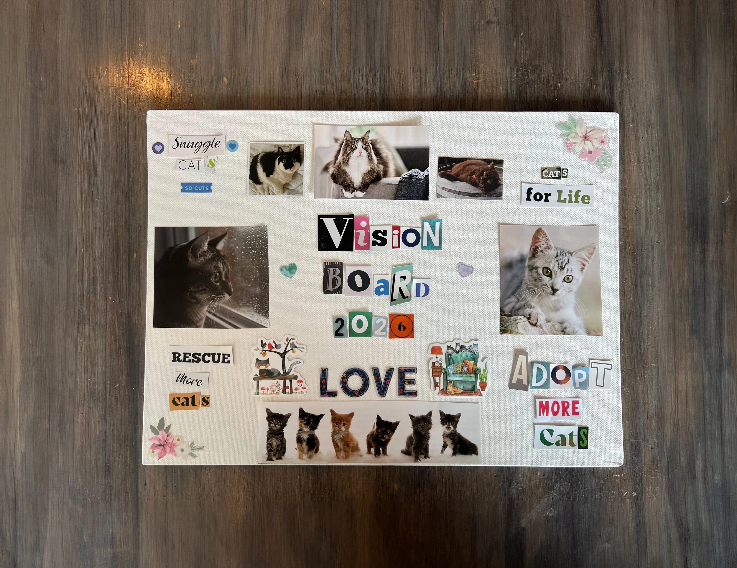 2026 Vision Board Making!