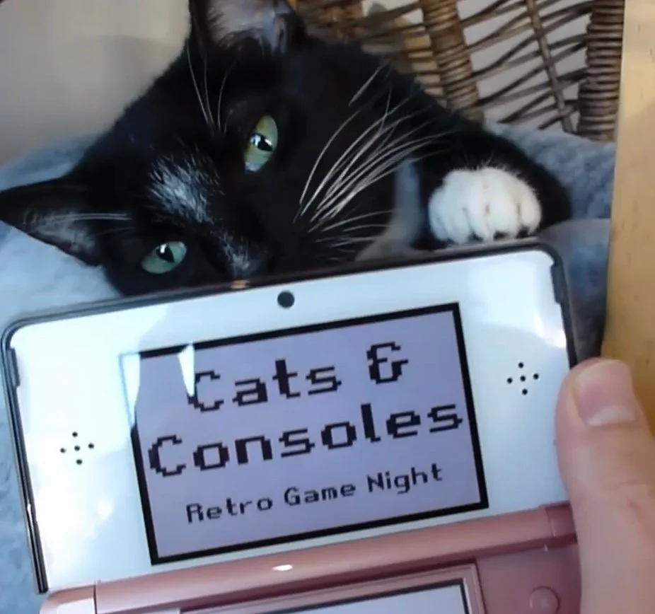 Cats &amp; Consoles