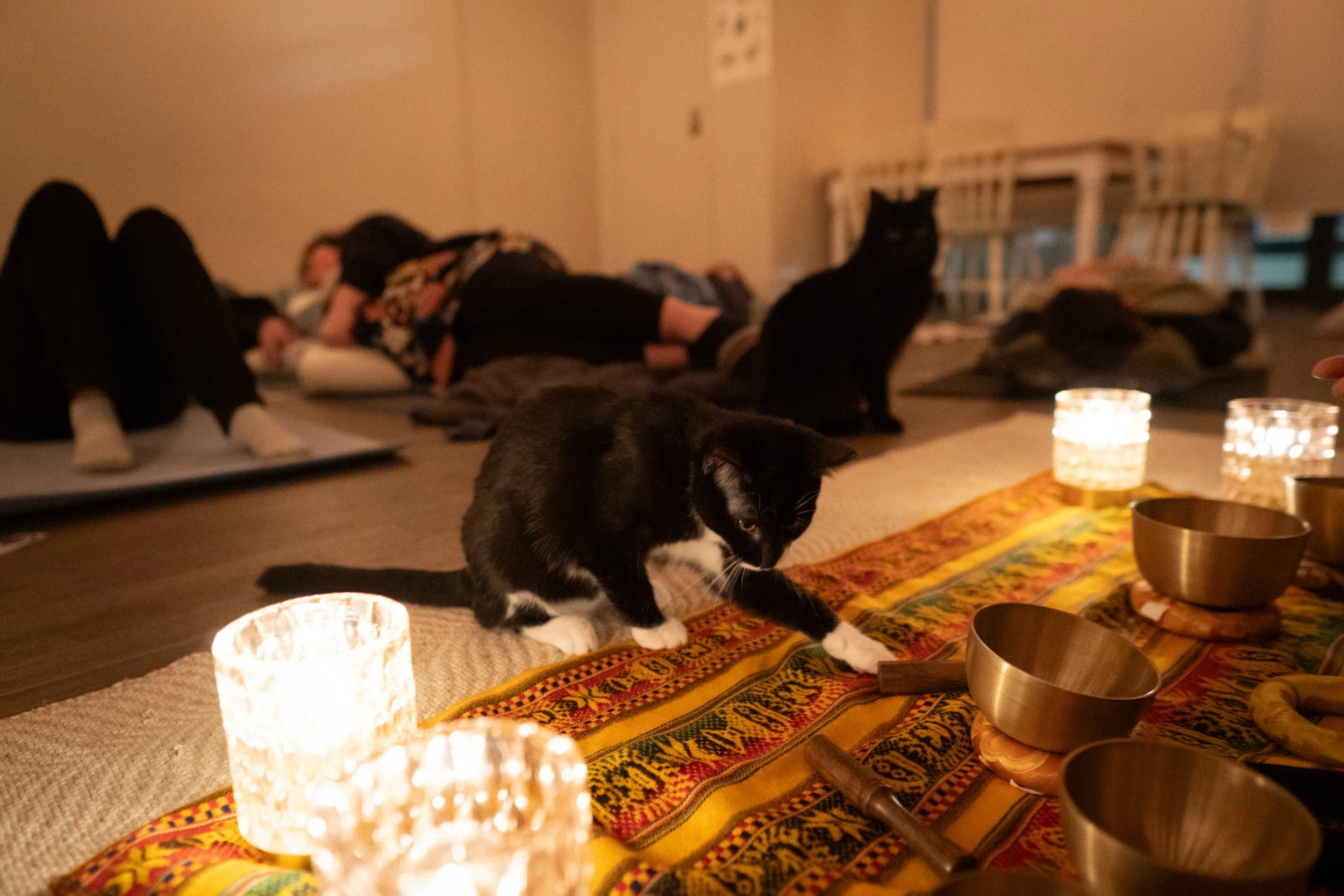 Sound Bath Meditation