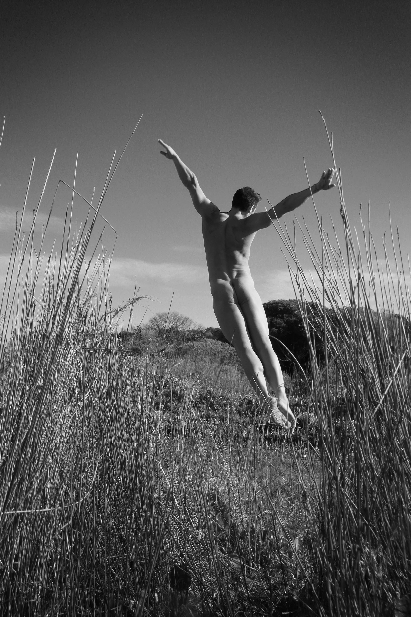 Lucas-Leaping.jpg