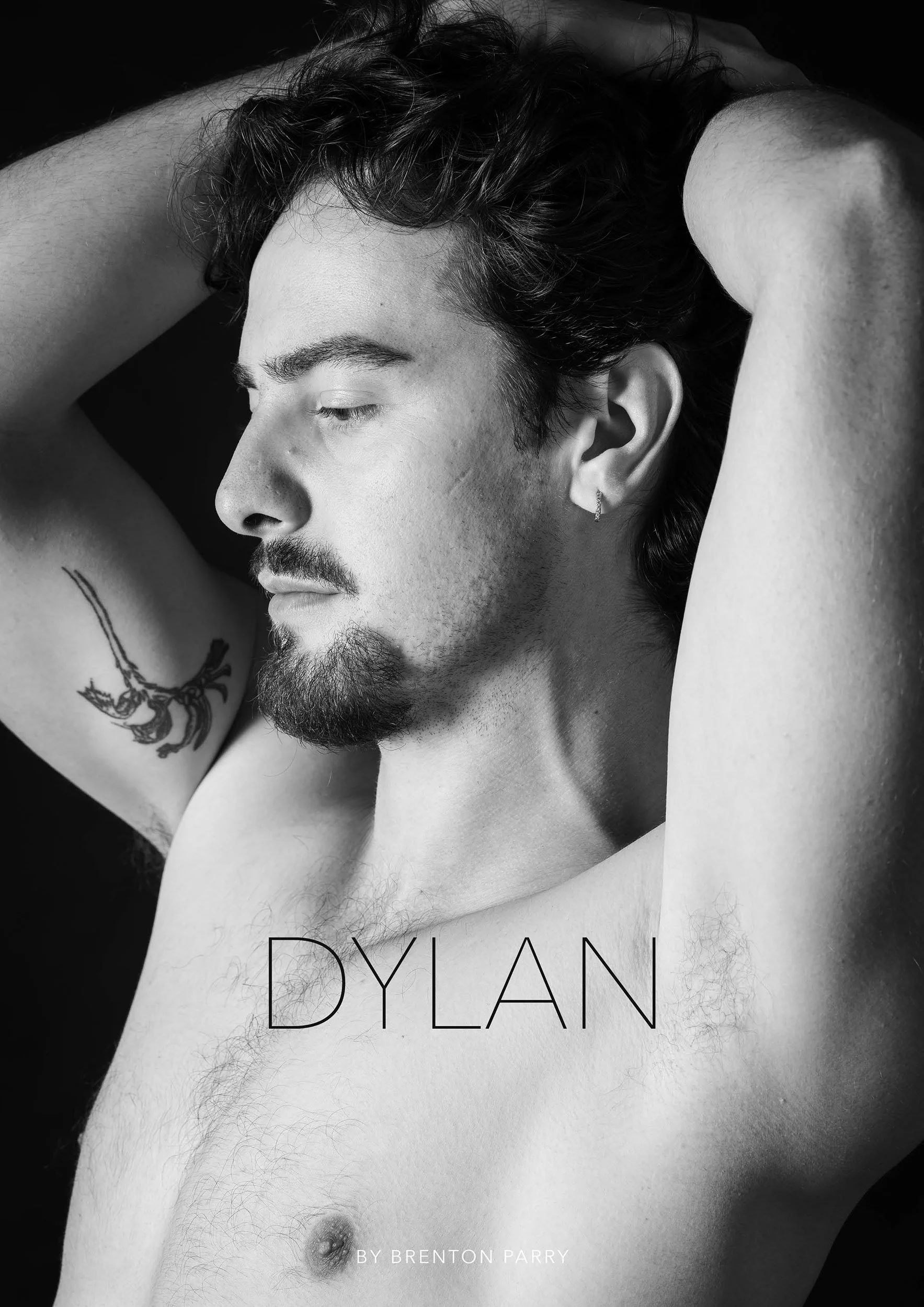 Dylan-Book-Cover.jpg