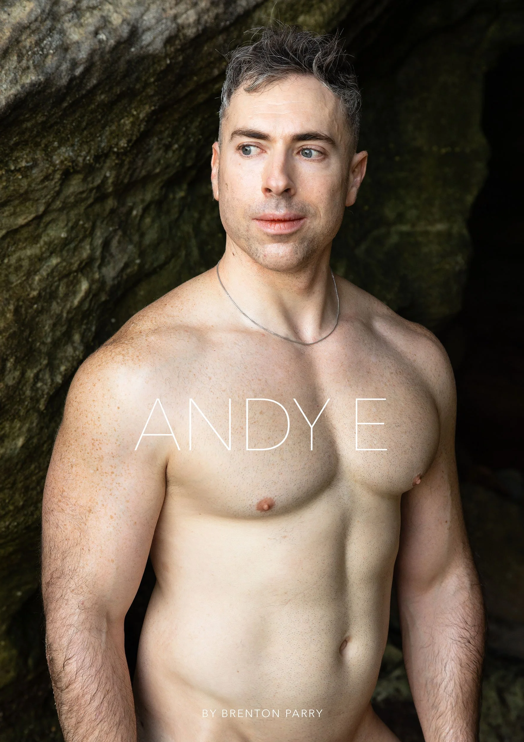 Andy-E-Book-Cover.jpg