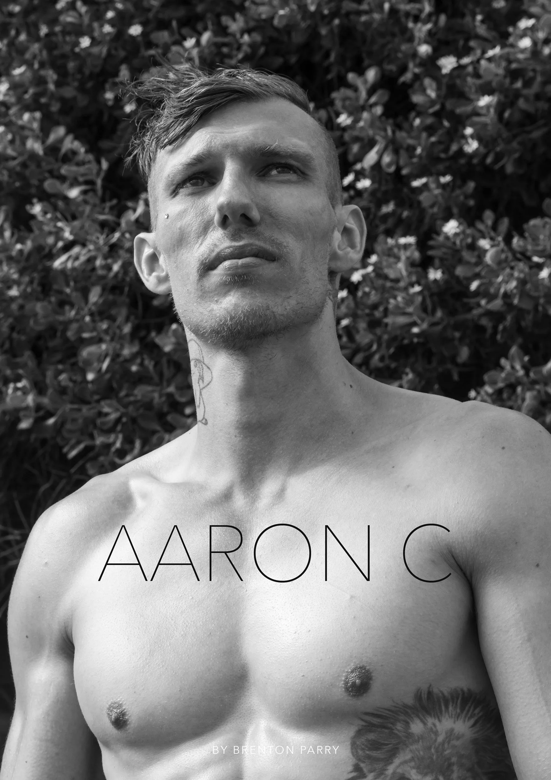 Aaron-C-Book-Cover.jpg