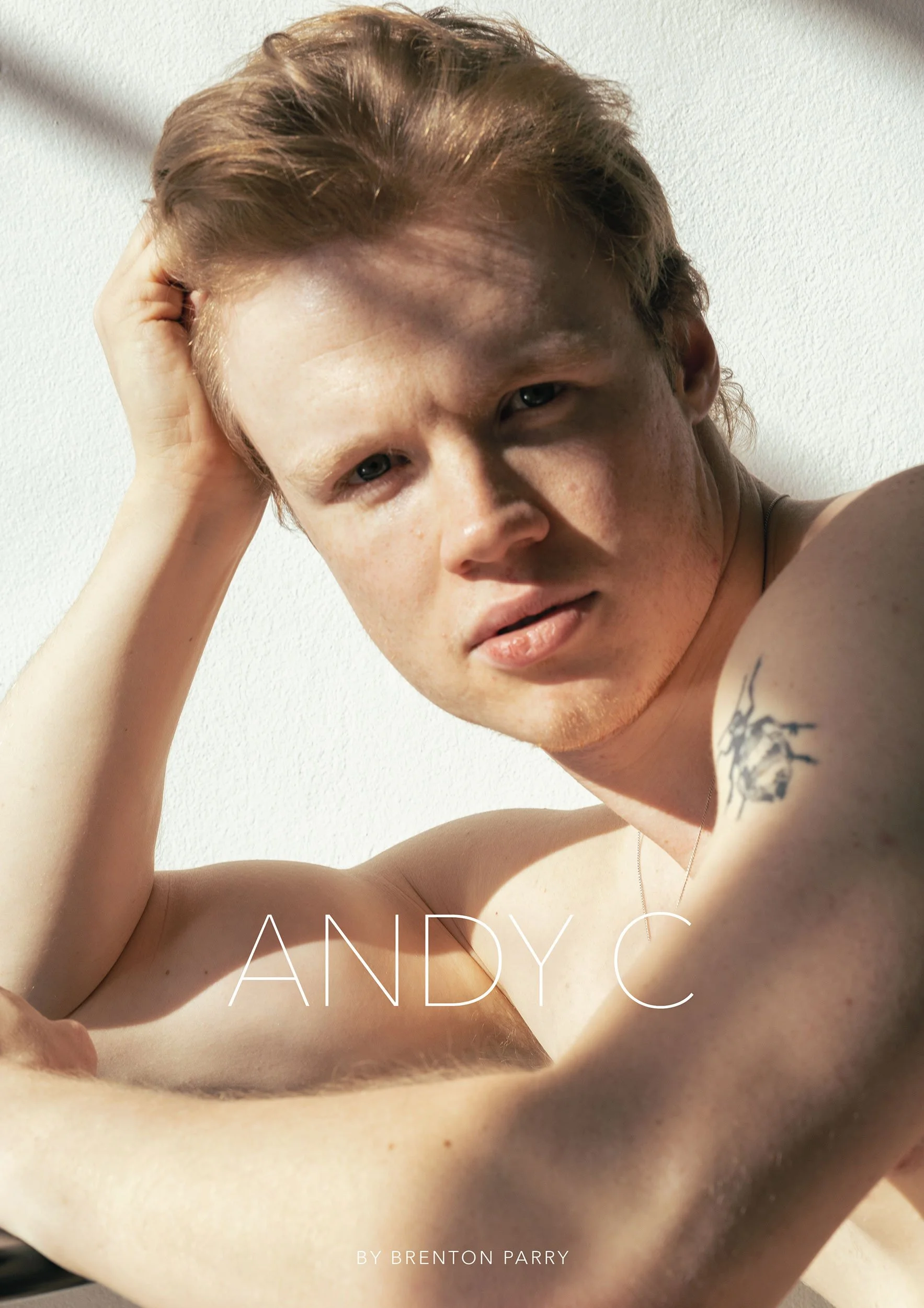 Andy-C-Book-Cover.jpg