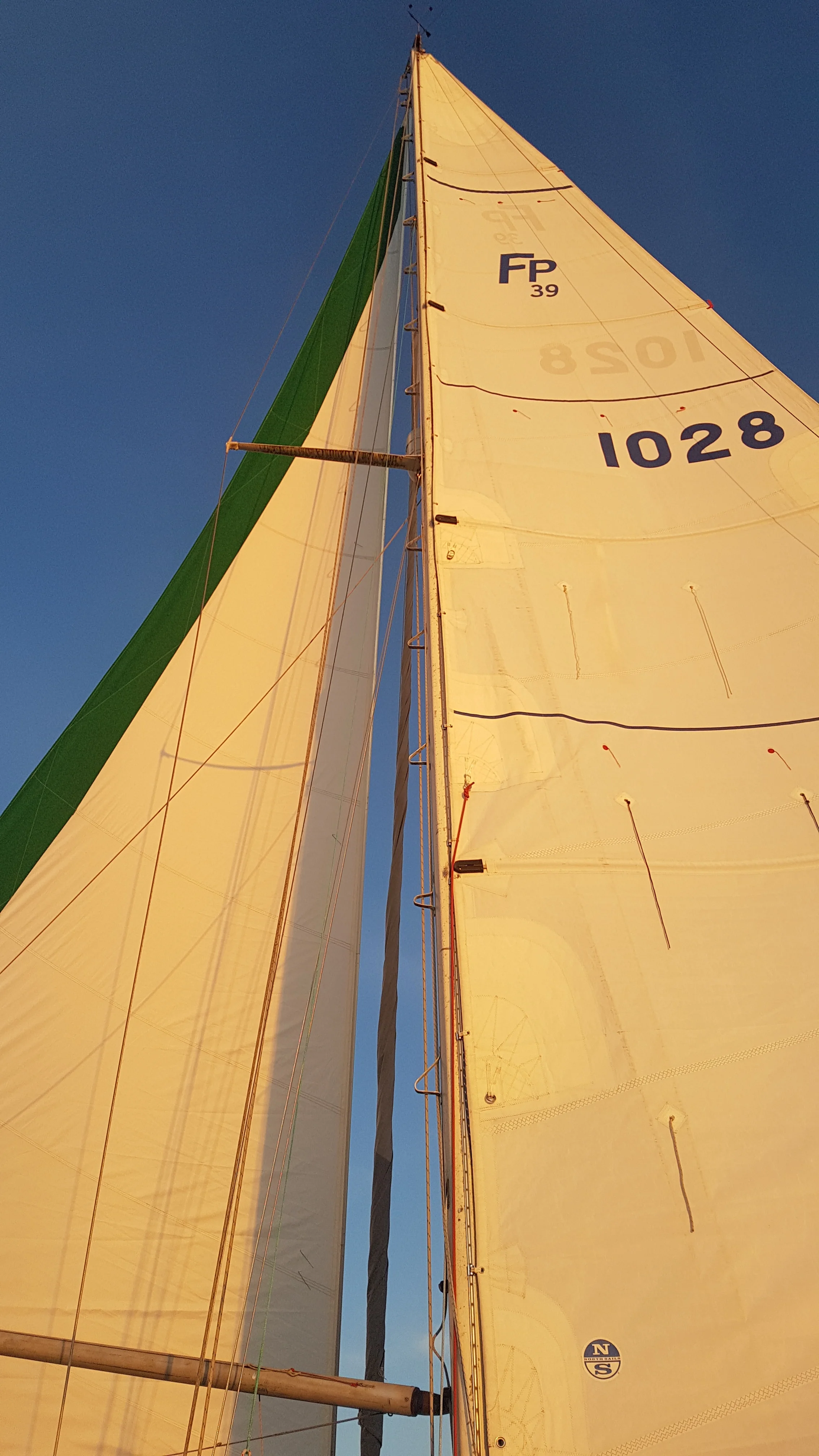 20170924_185027.jpg