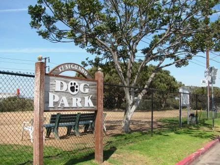 DogPark.jpg