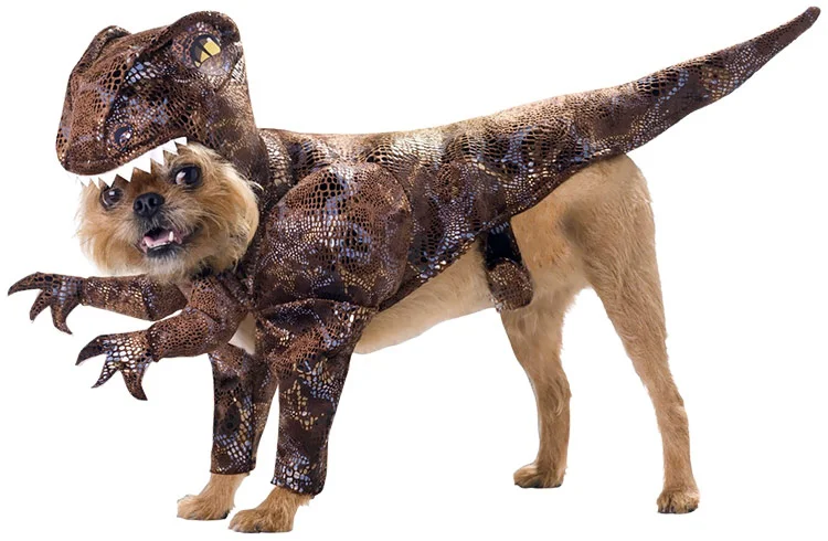 dog-costume.gif