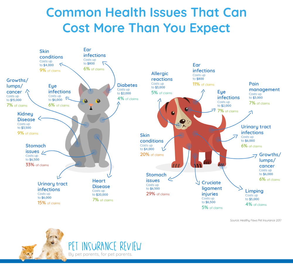 How Do You Claim Dog Insurance