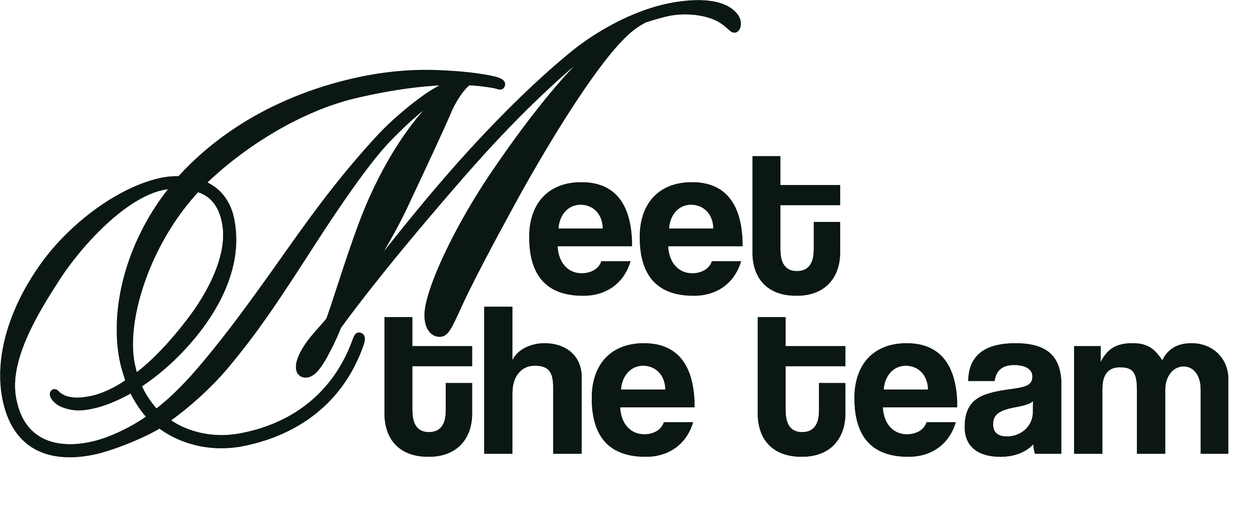 "Meet the team" text in stylized font