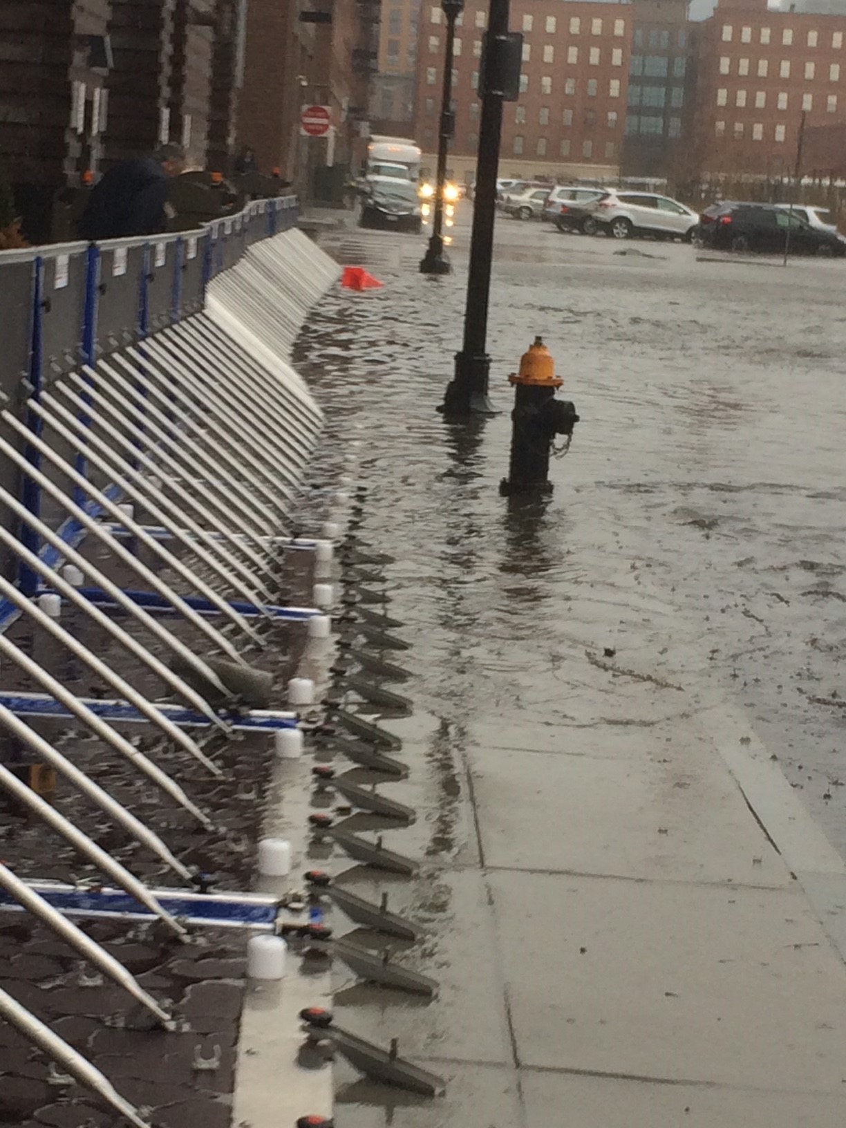 Boston March1.jpeg