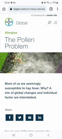 pollen problem.gif