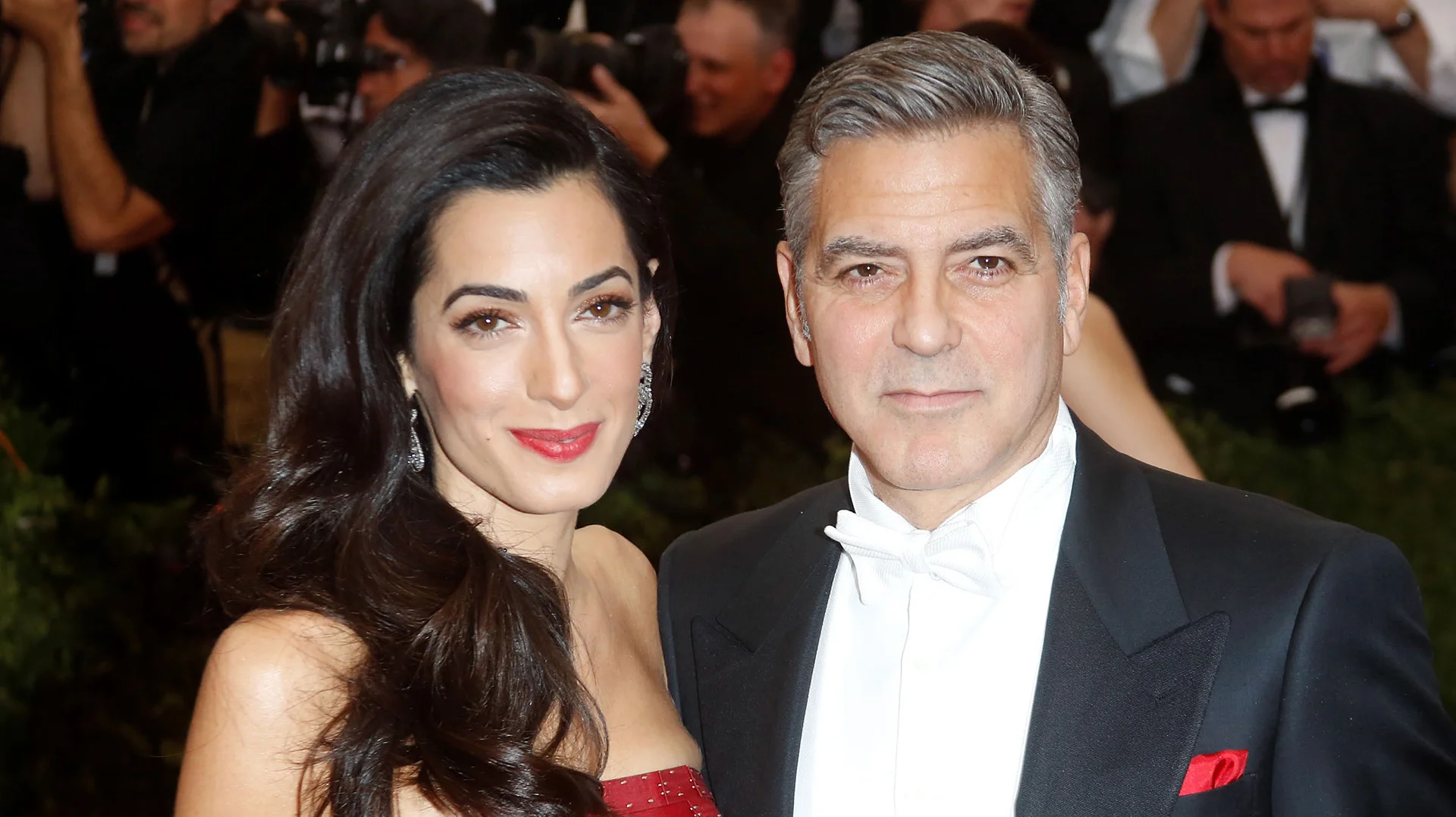 george-clooney-amal-alamuddin-adopt-basset-hound-millie-photo.jpg