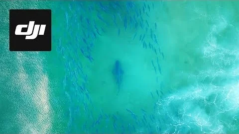 DJI STORIES - Australian Coastline Watch || Composer