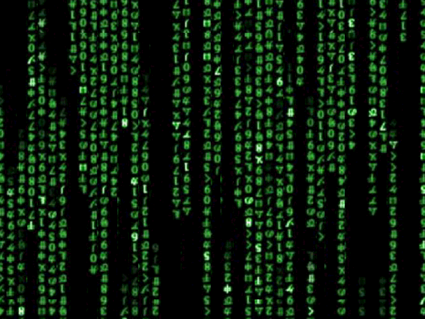 giphy4.0.gif