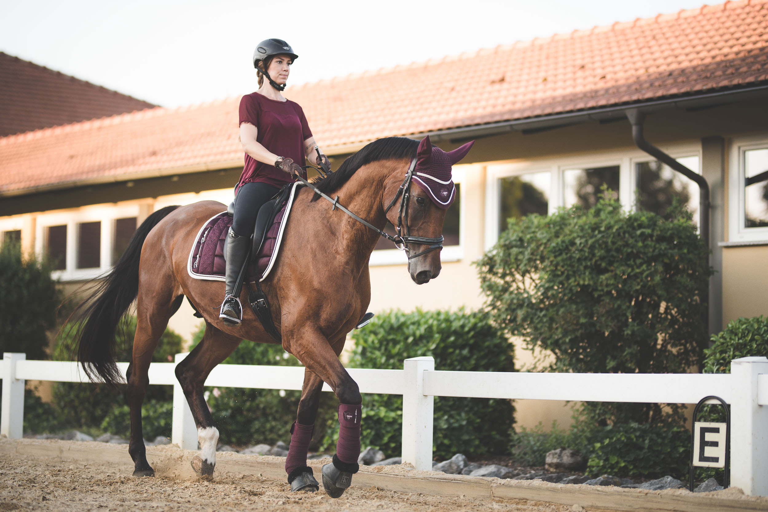 Thomas Paal-Fotograf Bamberg-Equestrian-7.jpg