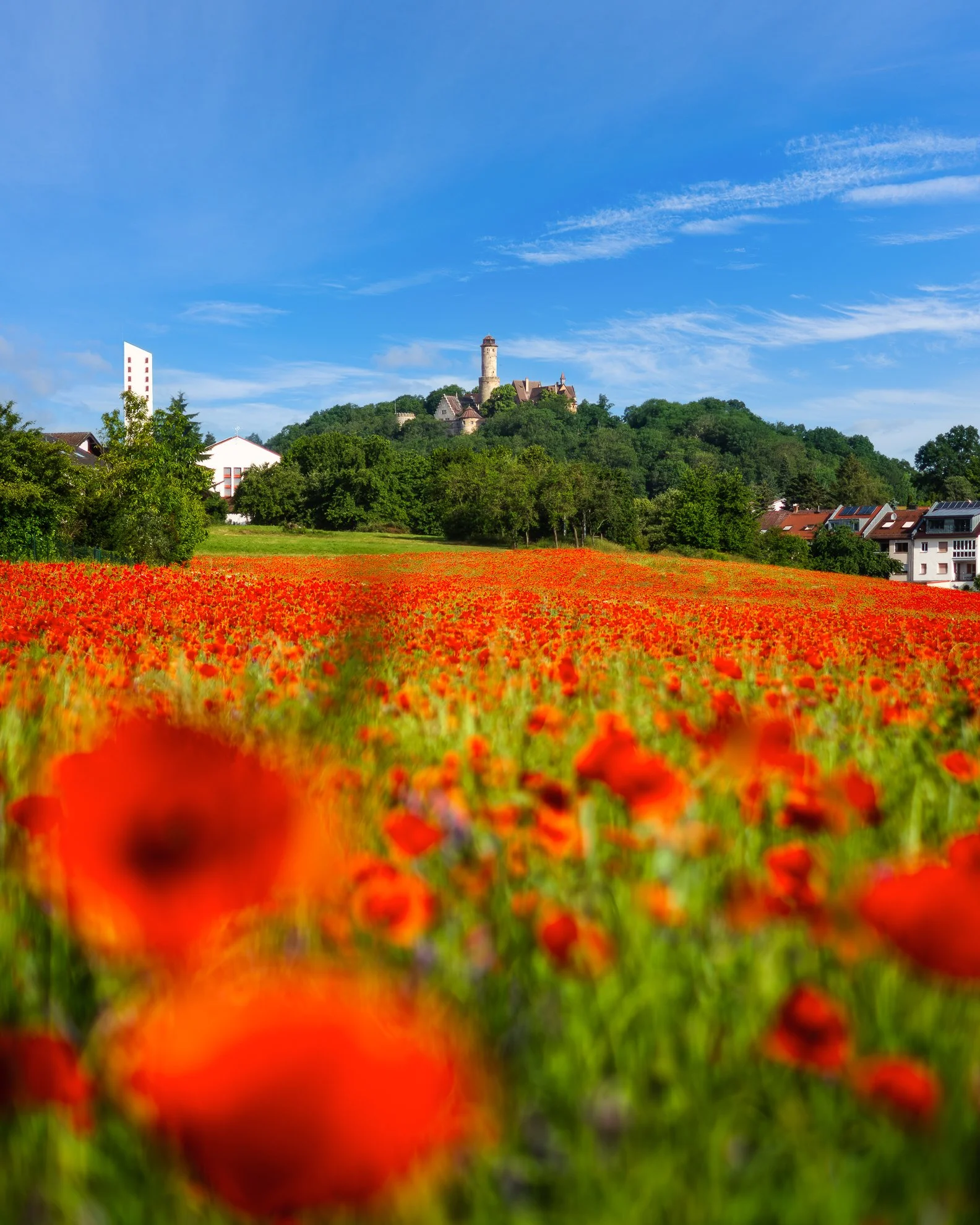 Es gibt Motive, die plant man.

Und dann gibt es die, die unerwartet am Stra&szlig;enrand auftauchen und den Tag ein bisschen besser machen.

Altenburg, St. Urban und ein Mohnblumenfeld an der W&uuml;rzburger Stra&szlig;e.

Fast zu gut, um einfach vo