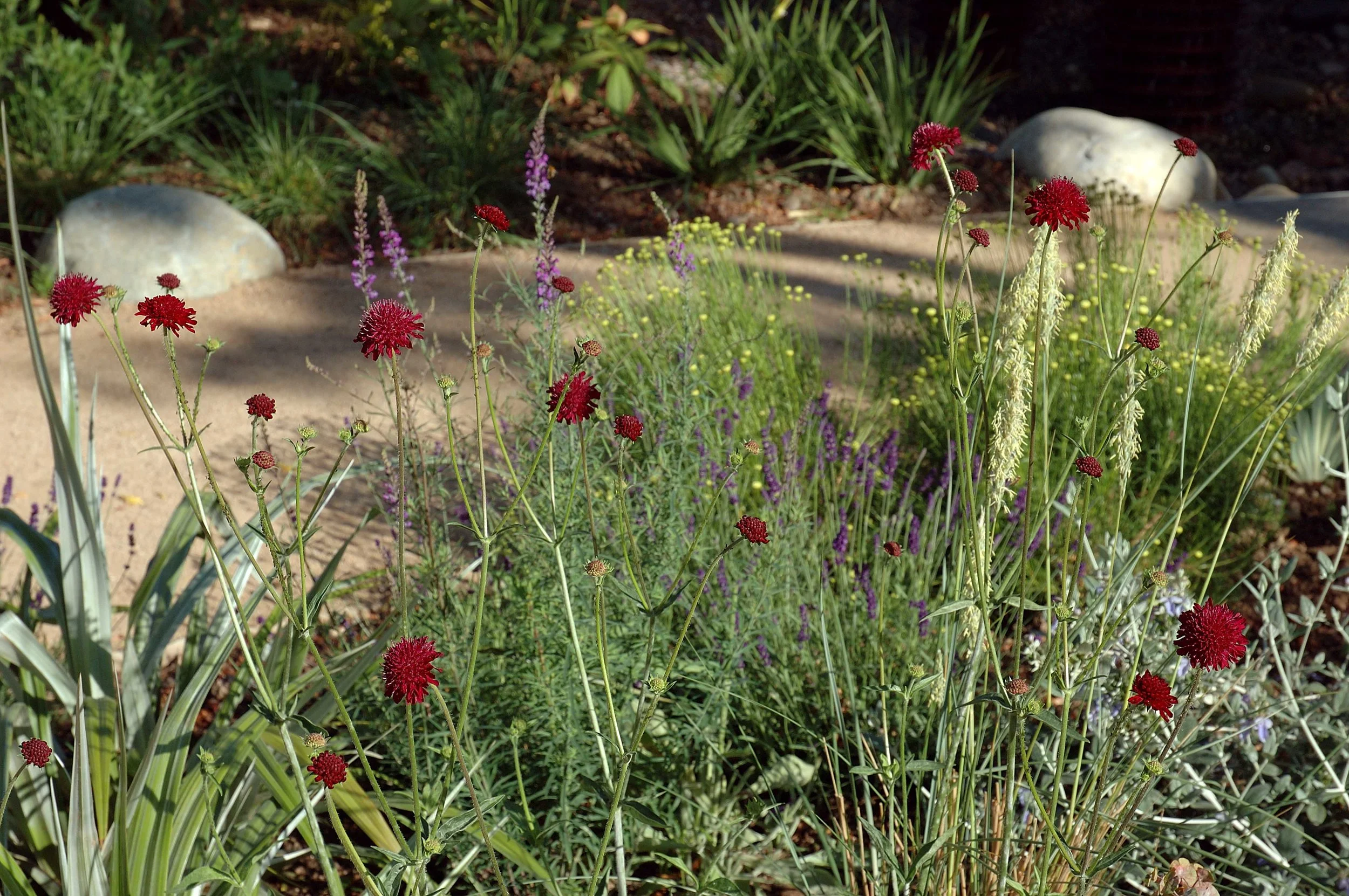New_lifetime ahead garden 3.jpg