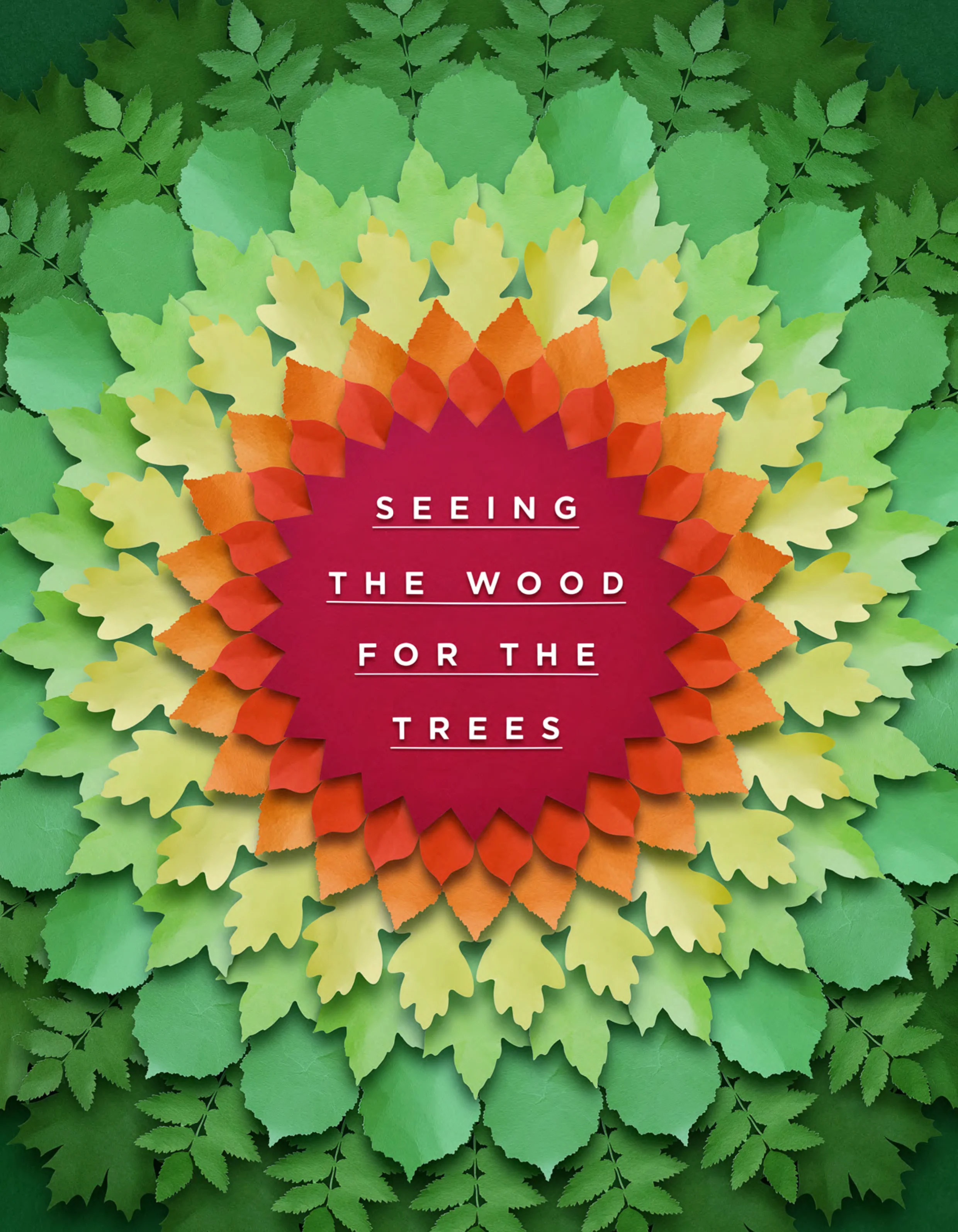 Seeing The Wood For The Trees for Land Business Spring/Summer 2018