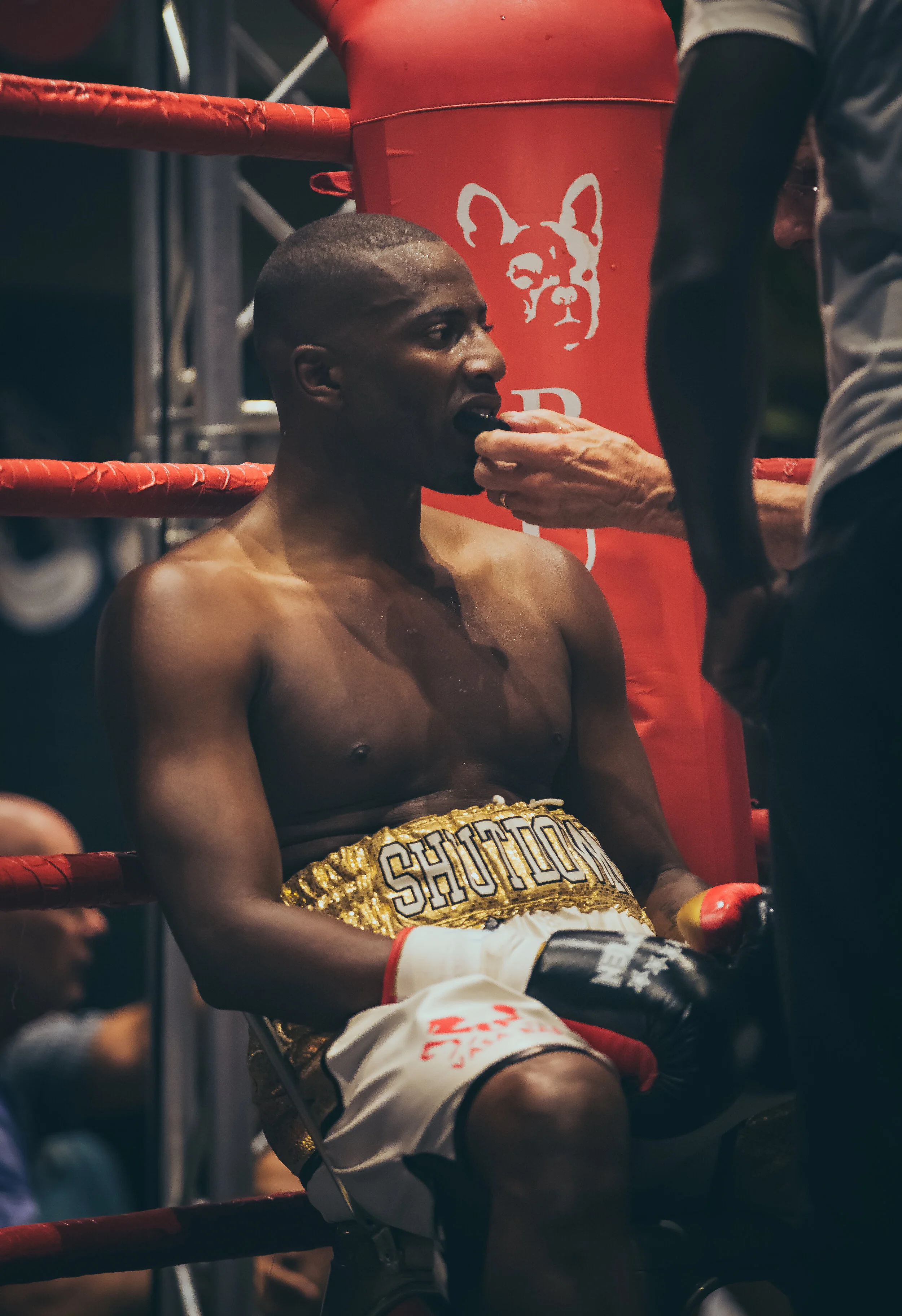 BulldogMediaFightnight_ (44 av 75).jpg