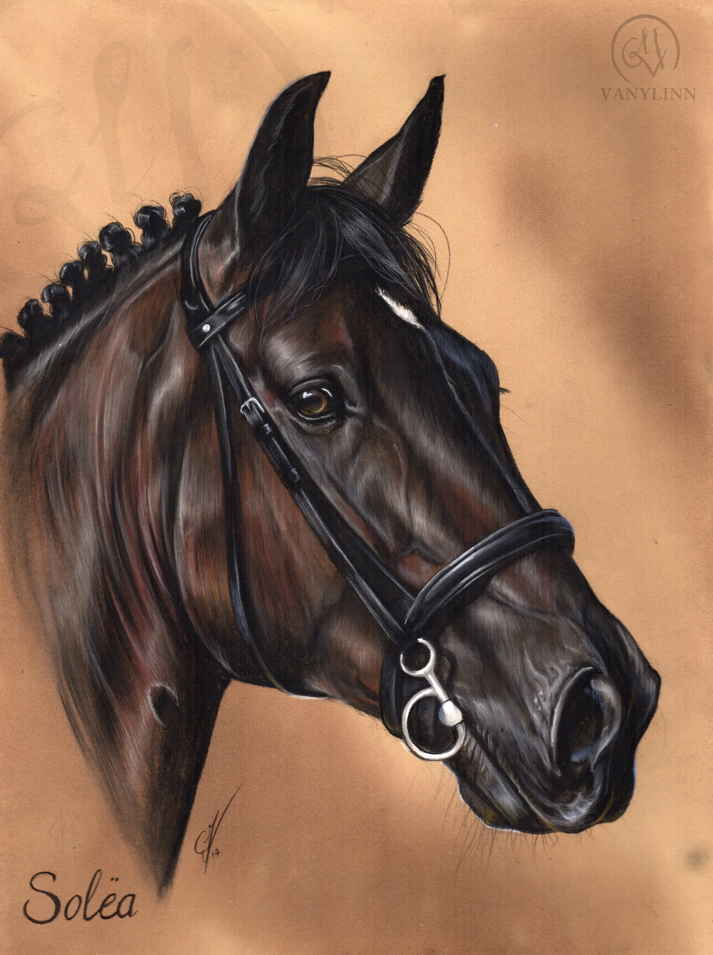 Solea dressage horse pastel realistic.jpg