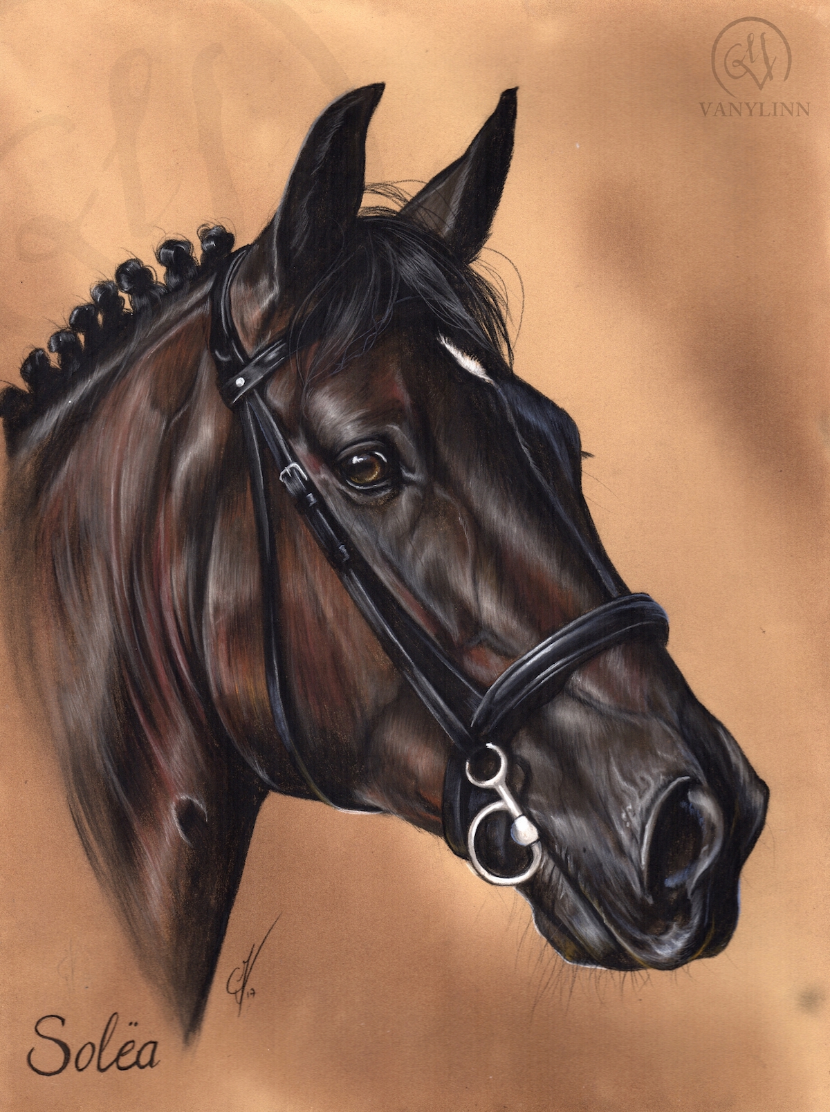 Solea dressage horse pastel realistic.jpg