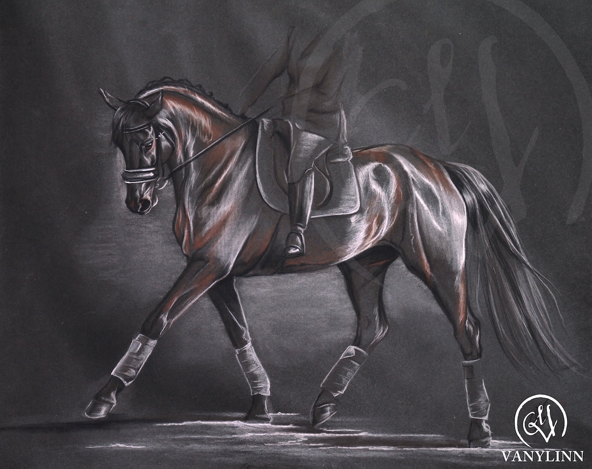 Warris dressage horse pastel sketch light.JPG