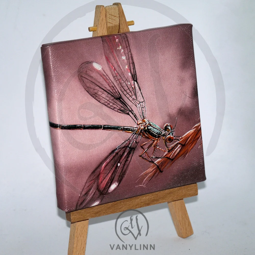 dragonfly-print-chasel.jpg