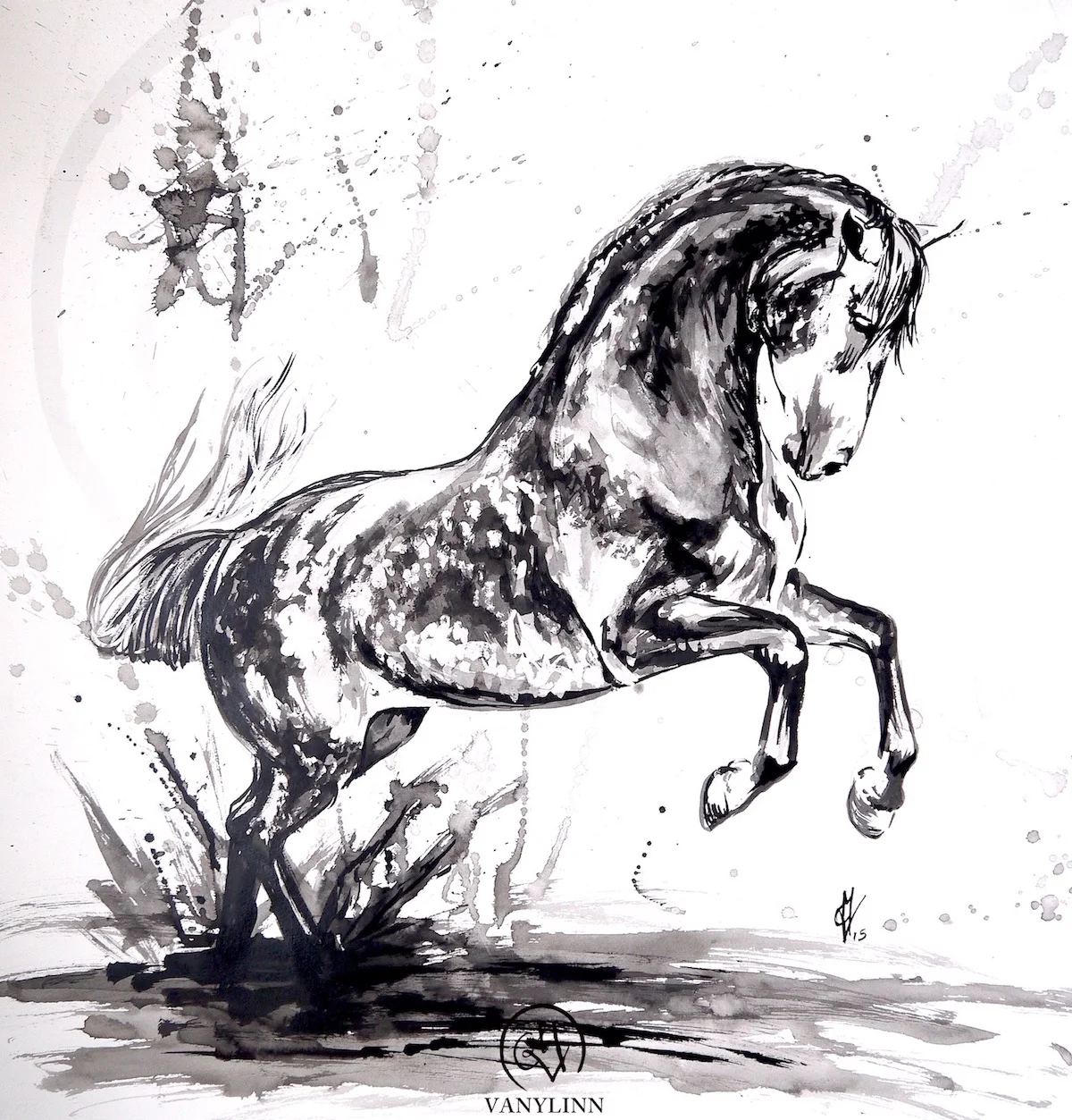 Fougue pura raza espanola dressage horse ink.jpg