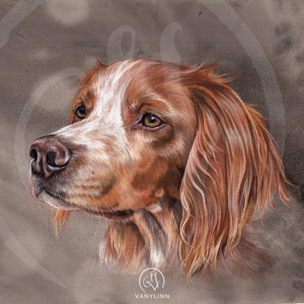 "Elphie"